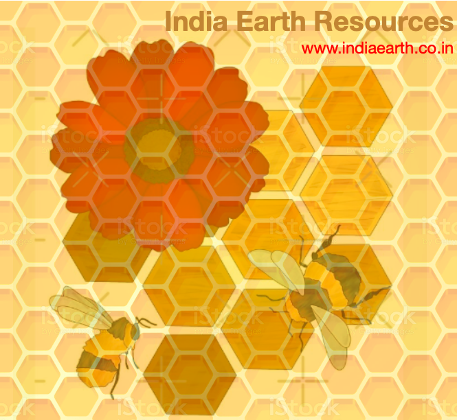 India Earth Resources Inc
